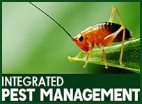 Integrated Pest Management
