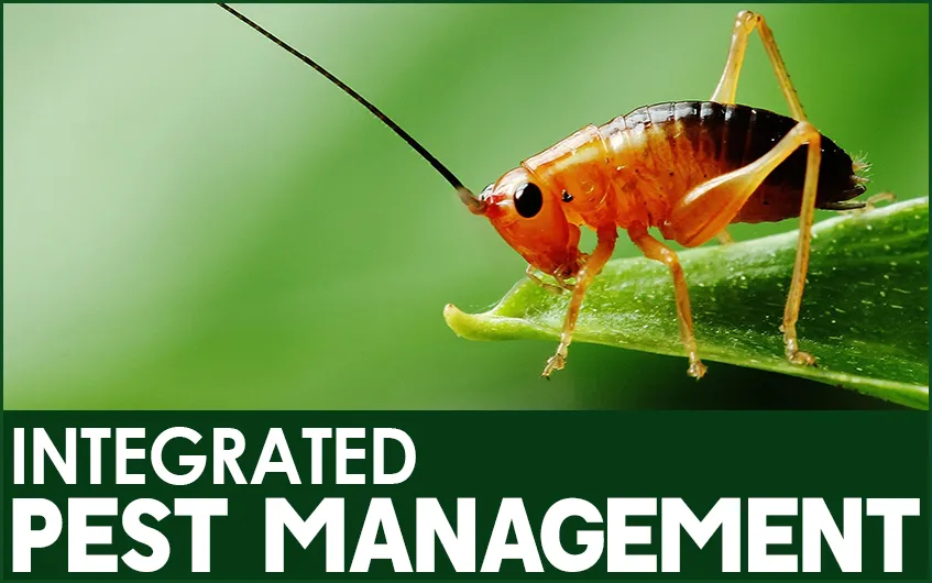 Integrated Pest Management