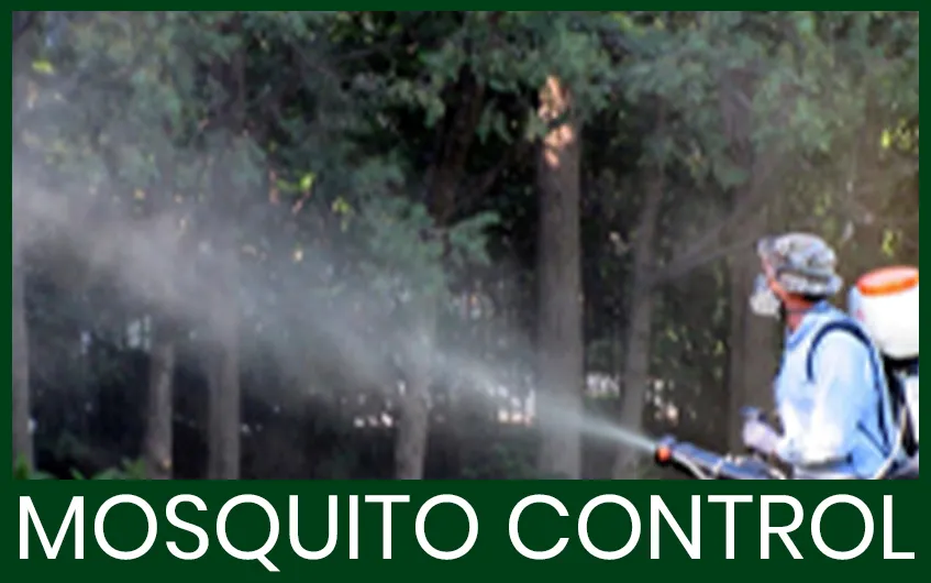Mosquito Control