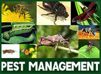 Pest Management