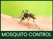 Mosquito Control