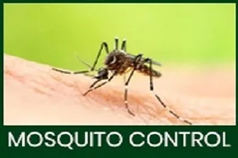 Mosquito Control
