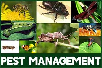 Pest Management