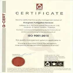 ISO