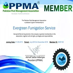 PPMA