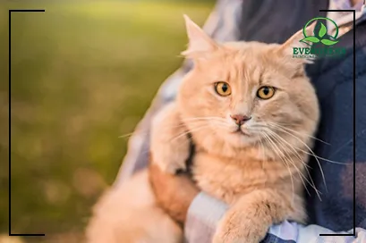 Cat Control Treatment